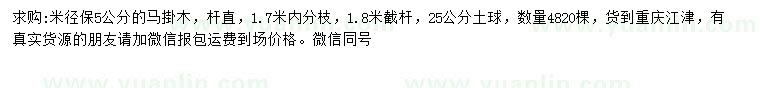 求購米徑5公分馬掛木