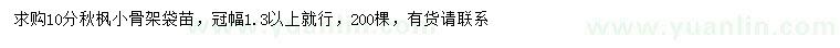 求購10分秋楓