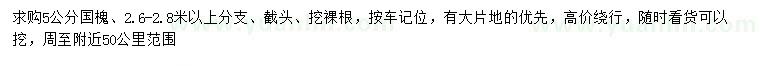 求購5公分國槐