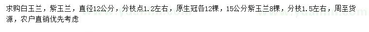 求購直徑12公分白玉蘭、12、15公分紫玉蘭