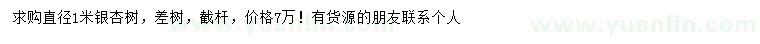 求購1米銀杏
