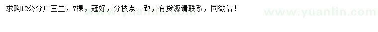 求購12公分廣玉蘭