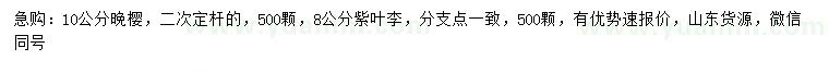 求購10公分晚櫻、8公分紫葉李