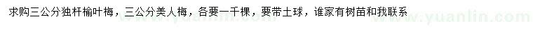 求購三公分獨(dú)桿榆葉梅、美人梅