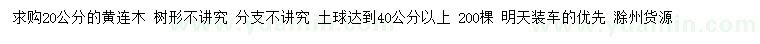 求購(gòu)20公分黃連木