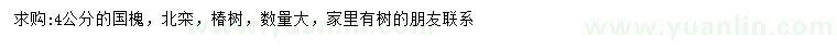 求購(gòu)國(guó)槐、北欒、椿樹