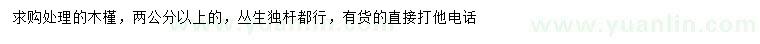 求購(gòu)2公分以上木槿