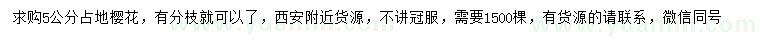 求購5公分櫻花