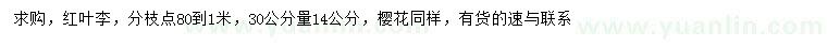求購30量14公分紅葉李、櫻花