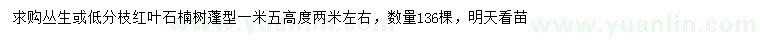 求購(gòu)高2米左右紅葉石楠