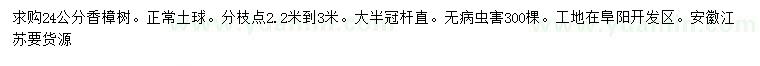 求購24公分香樟