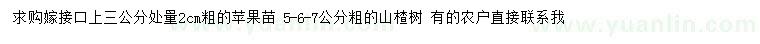 求購3公分量2公分蘋果樹、5-6-7公分山楂樹
