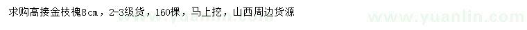 求購8公分金枝槐
