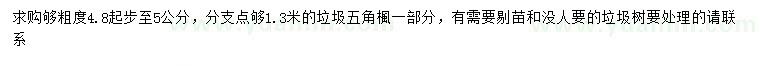 求購4.8-5公分五角楓