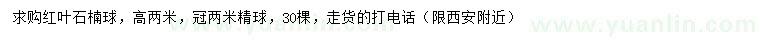 求購冠幅2米紅葉石楠球