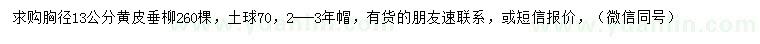求購胸徑13公分黃皮垂柳