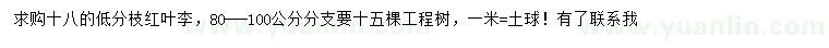 求購18公分紅葉李