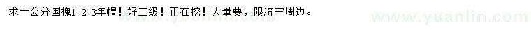 求購10公分國槐