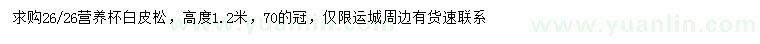 求購高1.2米白皮松