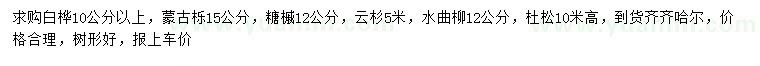 求購白樺、蒙古櫟、糖槭等