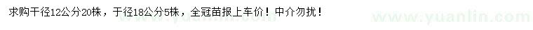 求購(gòu)12、18公分樂(lè)昌含笑