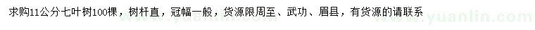 求購11公分七葉樹