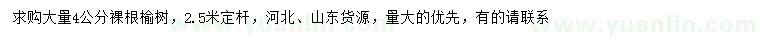 求購4公分榆樹