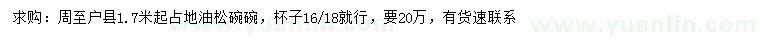 求購1.7米以上油松
