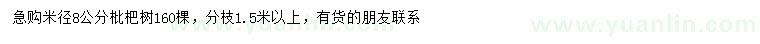 求購(gòu)米徑8公分枇杷樹(shù)