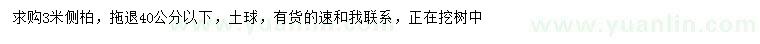 求購3米側(cè)柏