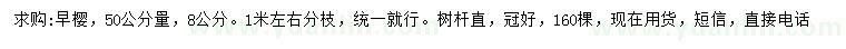 求購50量8公分早櫻
