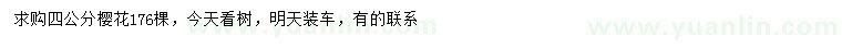 求購4公分櫻花