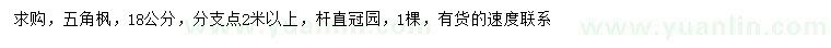 求購18公分五角楓