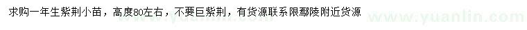 求購高80公分左右紫荊小苗