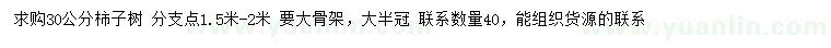 求購30公分柿子樹