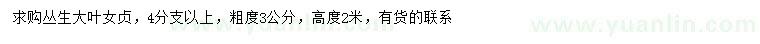 求購(gòu)高2米叢生大葉女貞