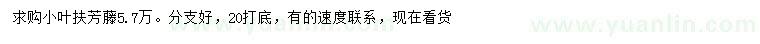 求購(gòu)20公分以上小葉扶芳藤