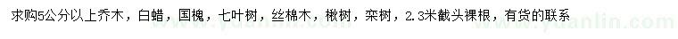 求購白蠟、國槐、七葉樹等