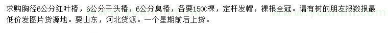 求購紅葉椿、千頭椿、臭椿