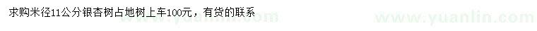 求購(gòu)米徑11公分銀杏