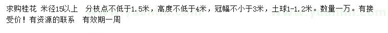 求購米徑15公分以上桂花