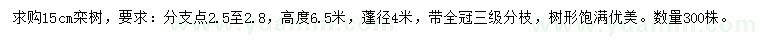 求購15公分欒樹