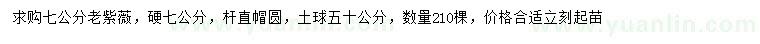 求購7公分老紫薇