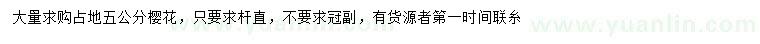求購(gòu)5公分櫻花