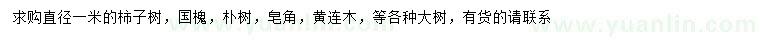 求購柿子樹、國槐、樸樹等