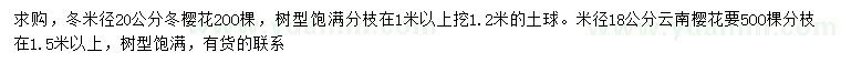 求購(gòu)米徑20公分冬櫻花、米徑18公分云南櫻花