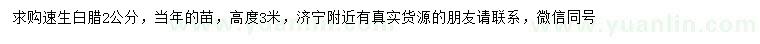 求購2公分速生白蠟