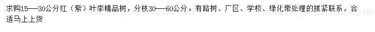 求購15-30公分紅葉李、紫葉李