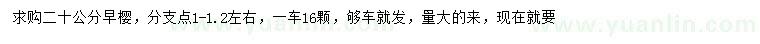 求購20公分早櫻