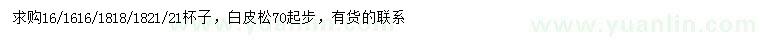 求購70公分以上白皮松